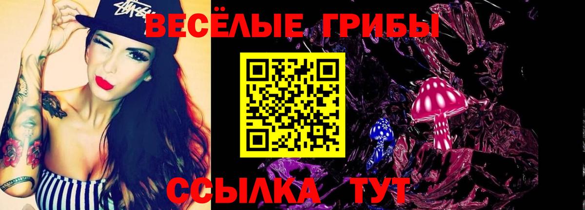 Псилоцибиновые грибы Psilocybine cubensis Арсеньев