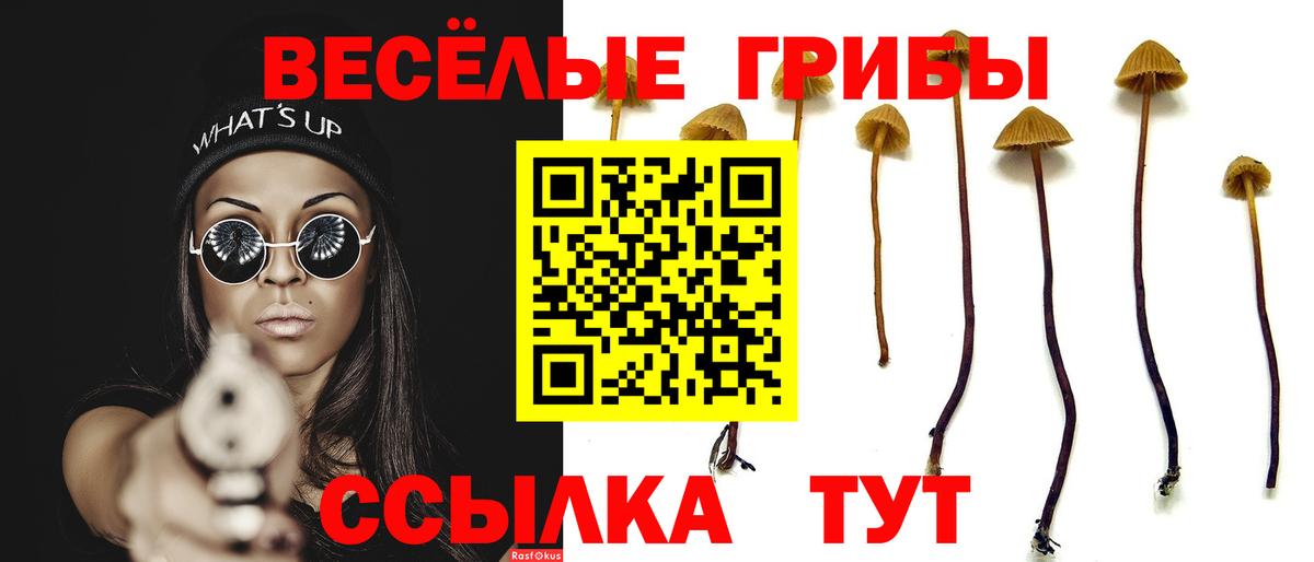 Галлюциногенные грибы Psilocybe  Галлюциногенные грибы MAGIC MUSHROOMS  Арсеньев  Вход с VPN 