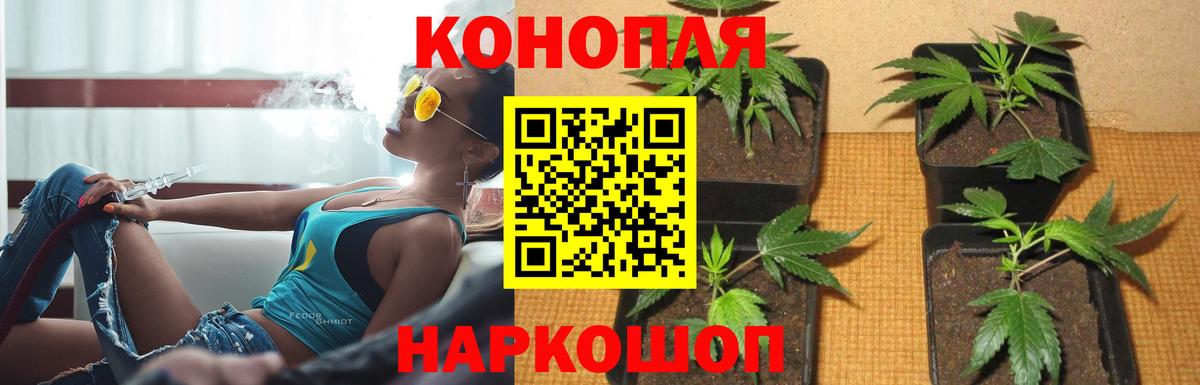 Шишки марихуана Bruce Banner  МАРИХУАНА марихуана  Вход с VPN  МАРИХУАНА индика  Бошки марихуана OG Kush  Арсеньев 